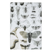 Mini Porte-bloc Entomologie (Dos)