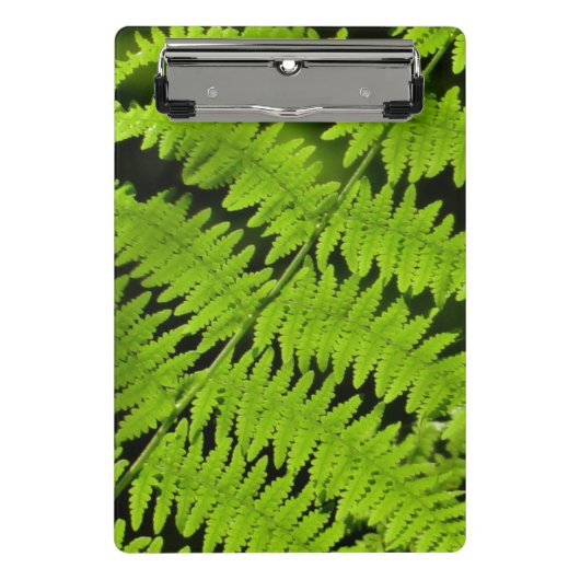 Mini Porte-bloc Ferme verte (Devant)