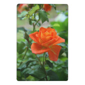 Mini Porte-bloc Fleur rose de la nature (Dos)