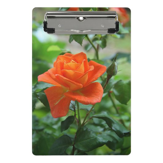 Mini Porte-bloc Fleur rose de la nature (Devant)