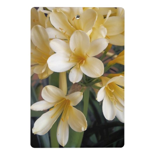 MINI PORTE-BLOC FLEURS JAUNES (Dos)