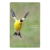 Mini Porte-bloc Goldfinch sur Harebell Flower (Dos)