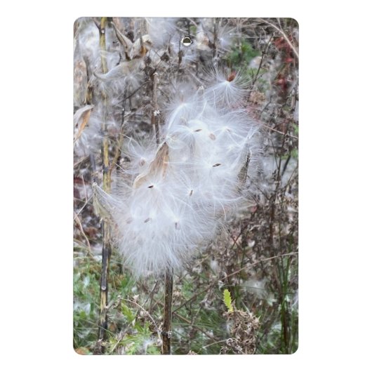 Mini Porte-bloc Graines et soie d'algues (Dos)