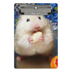 Mini Porte-bloc Hamster syrien en mousse Kokolinka