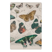 Mini Porte-bloc Illustration de papillon antique : 1820 Orfèvre (Dos)