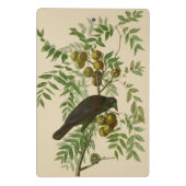 Mini Porte-bloc Impression d'oiseau Grackle Violet d'Audubon Botan (Dos)