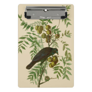 Mini Porte-bloc Impression d'oiseau Grackle Violet d'Audubon Botan