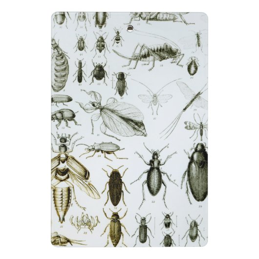 Mini Porte-bloc Insectes d'entomologie (Dos)