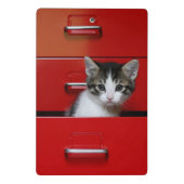 Mini Porte-bloc Jeter un coup d'oeil de chaton (Dos)