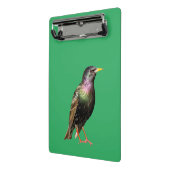 Mini Porte-bloc Joli oiseau Starling (Angle2)