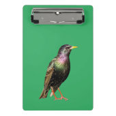 Mini Porte-bloc Joli oiseau Starling (Devant)