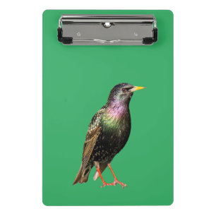 Mini Porte-bloc Joli oiseau Starling