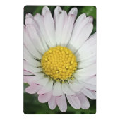 Mini Porte-bloc Jolie marguerite (Dos)