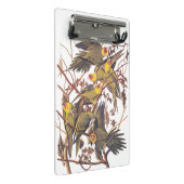 Mini Porte-bloc La perruque de Caroline d'Audubon (Incliné)