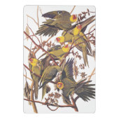 Mini Porte-bloc La perruque de Caroline d'Audubon (Dos)