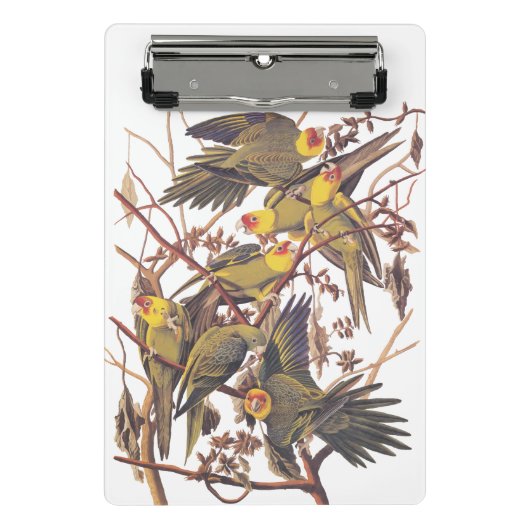 Mini Porte-bloc La perruque de Caroline d'Audubon (Devant)