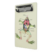 Mini Porte-bloc L'anatomie de la grenouille personnalisée (Angle2)