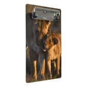 Mini Porte-bloc Lion CUB et mère (Incliné)