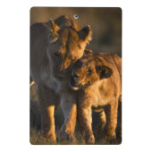 Mini Porte-bloc Lion CUB et mère (Dos)