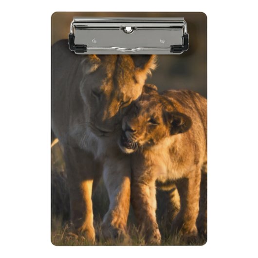 Mini Porte-bloc Lion CUB et mère (Devant)