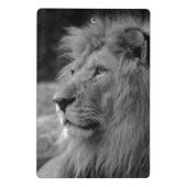 Mini Porte-bloc Lion noir et blanc - Animal sauvage (Dos)