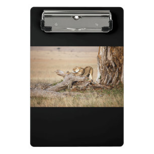 Mini Porte-bloc Lioness stretching