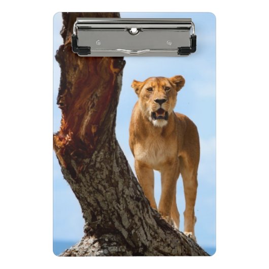 Mini Porte-bloc Lionne (Devant)