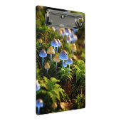 Mini Porte-bloc Magical Bioluminescent Fungi - Deep Forest (Incliné)