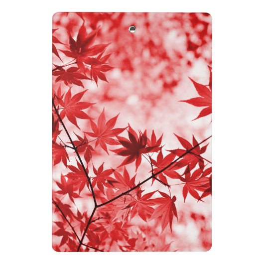 Mini Porte-bloc Maple Feuille Landscape Design-21355 (Dos)