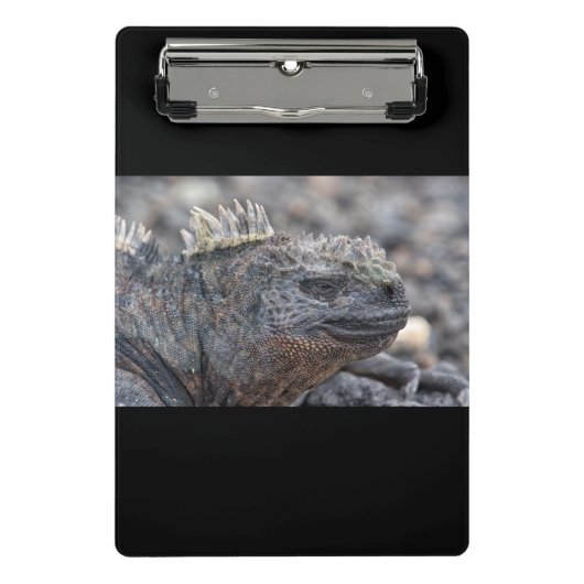 Mini Porte-bloc Marine Iguana (Devant)
