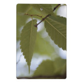 Mini Porte-bloc Méditer sur la création de Dieu nature feuille  (Dos)