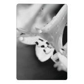 Mini Porte-bloc Modern Minimalist Black & White Flower with ursign (Dos)