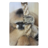 MINI PORTE-BLOC MONKEY (Dos)