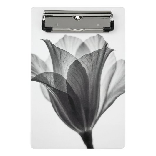 Mini Porte-bloc Monochrome botanical fine art photograph (Devant)