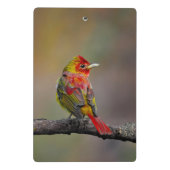 Mini Porte-bloc Moulage de Tangère - Photo originale (Dos)