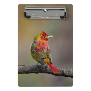 Mini Porte-bloc Moulage de Tangère - Photo originale