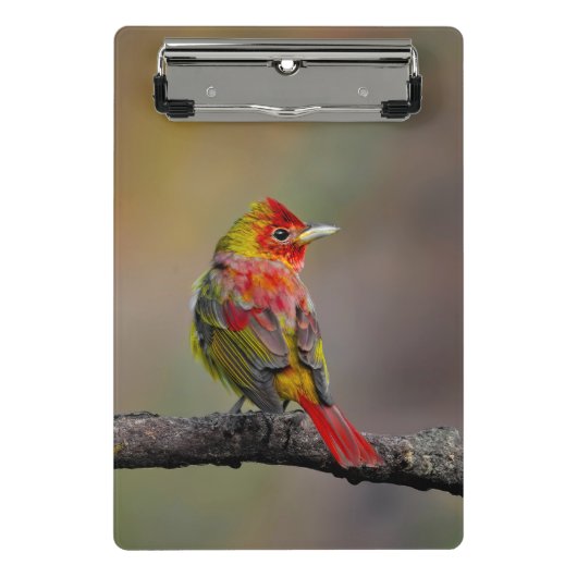 Mini Porte-bloc Moulage de Tangère - Photo originale (Devant)