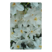 Mini Porte-bloc Narcisse à fleurs blanches Paperwhite (Dos)