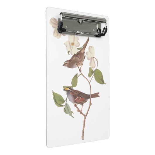 Mini Porte-bloc Oiseaux Audubons à Bruant à Throses Blanches avec (Incliné)