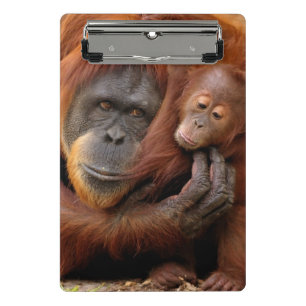Mini Porte-bloc Orang-outan de mère et de bébé