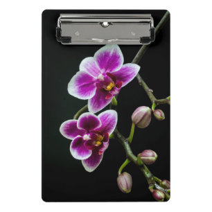 Mini Porte-bloc Orchidée rose blanc couleur sur noir pâle doux