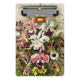 Mini Porte-bloc Orchidées, Orchidée Denusblumen Ernst Haeckel