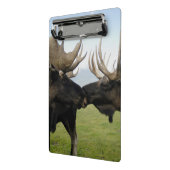 Mini Porte-bloc Orignaux (Angle2)