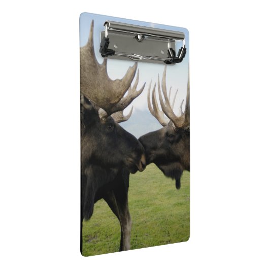 Mini Porte-bloc Orignaux (Incliné)