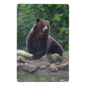 Mini Porte-bloc Ours Brown (Dos)