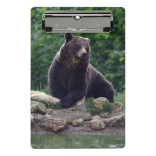 Mini Porte-bloc Ours Brown