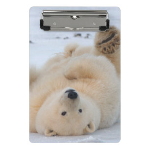 Mini Porte-bloc ours polaire, Ursus maritimus, ourson roulant 3