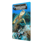 Mini Porte-bloc Paires de tortue (Angle2)