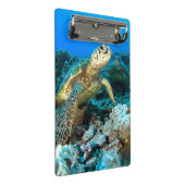 Mini Porte-bloc Paires de tortue (Incliné)