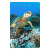 Mini Porte-bloc Paires de tortue (Dos)